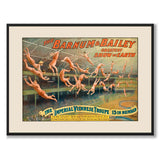 The Barnum & Bailey