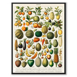 Frukter