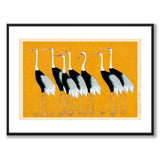 Japanese Red Crown Crane