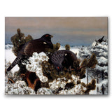 Capercaillies in a Winter Landscape