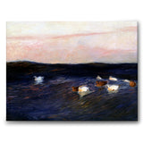 Eider Ducks