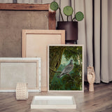 Stock Dove
