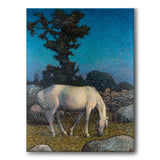 White Horse at Dusk