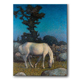 White Horse at Dusk - Canvas