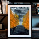 The Avenue