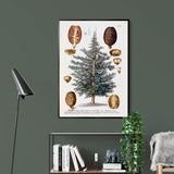 Cedrus