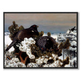 Capercaillies in a Winter Landscape - Poster