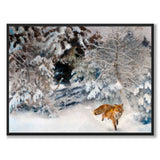 Fox in Winter Landscape