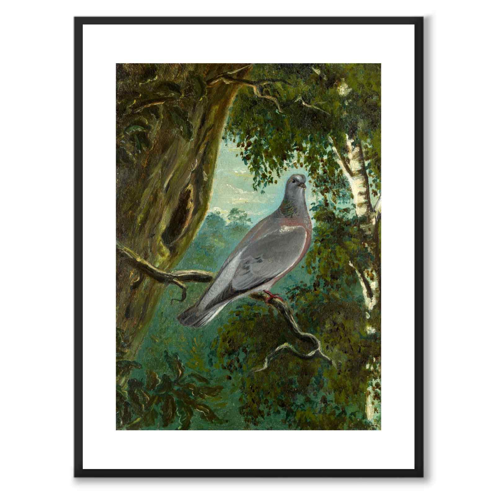 Stock Dove - Poster