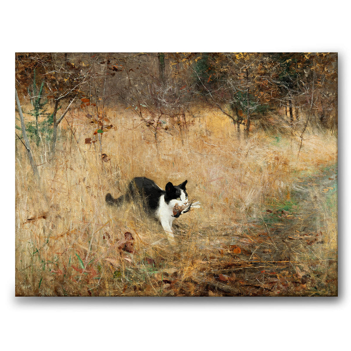 Cat hunting Birds - Canvas