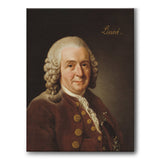 Carl von Linné