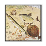 Den Nyfikna Abborren