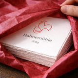 Kary H. Lasch - Sophia Loren