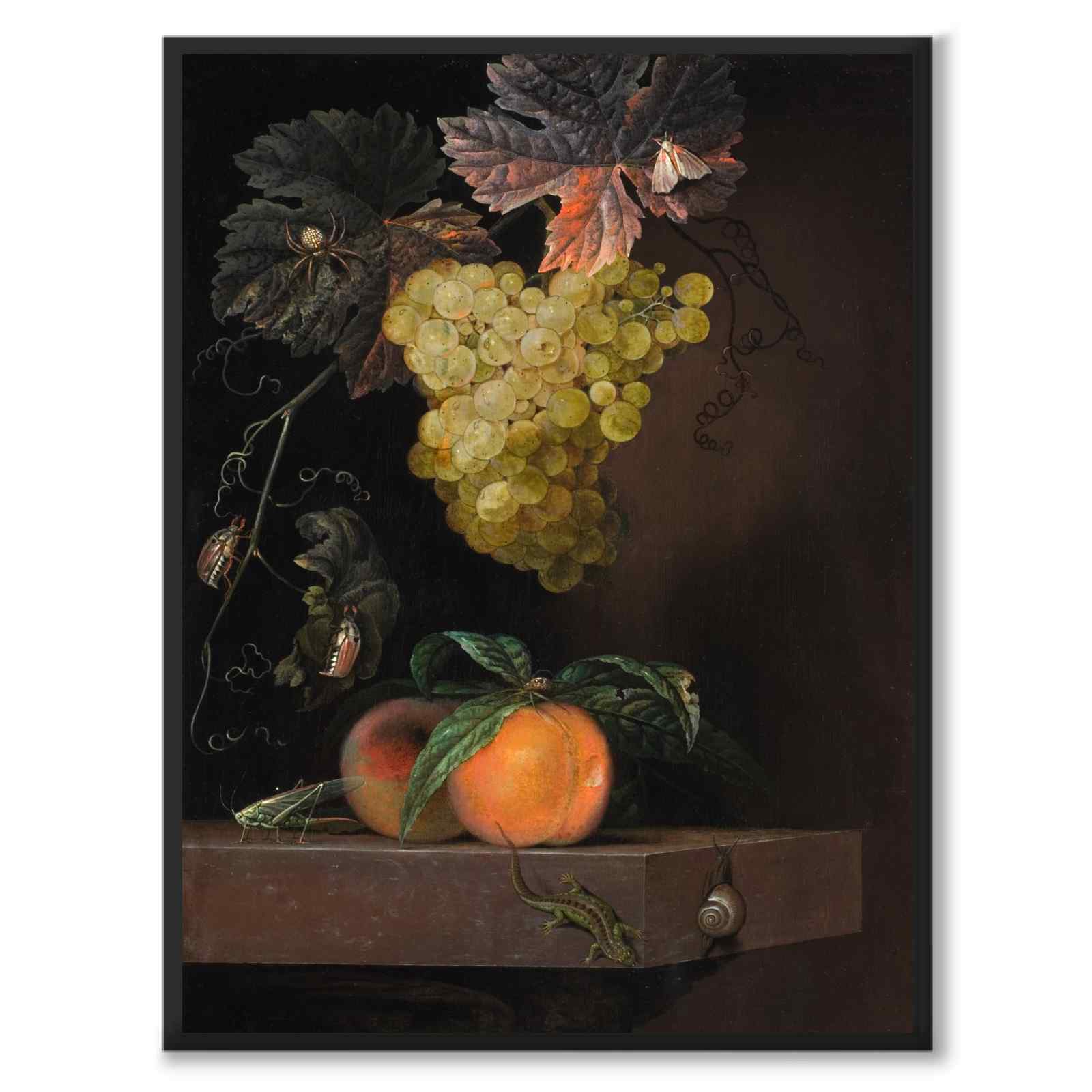 Still Life with Fruit, Lizard and Insects