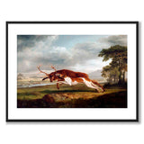 Hound Coursing a Stag