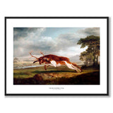 Hound Coursing a Stag
