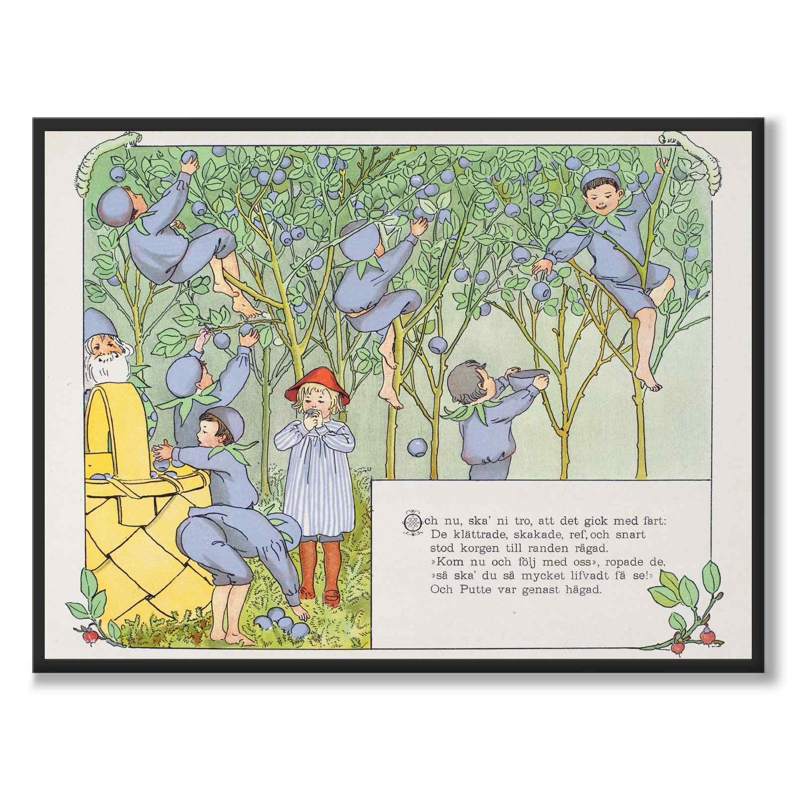 Putte's Adventure in the Blueberry Forest