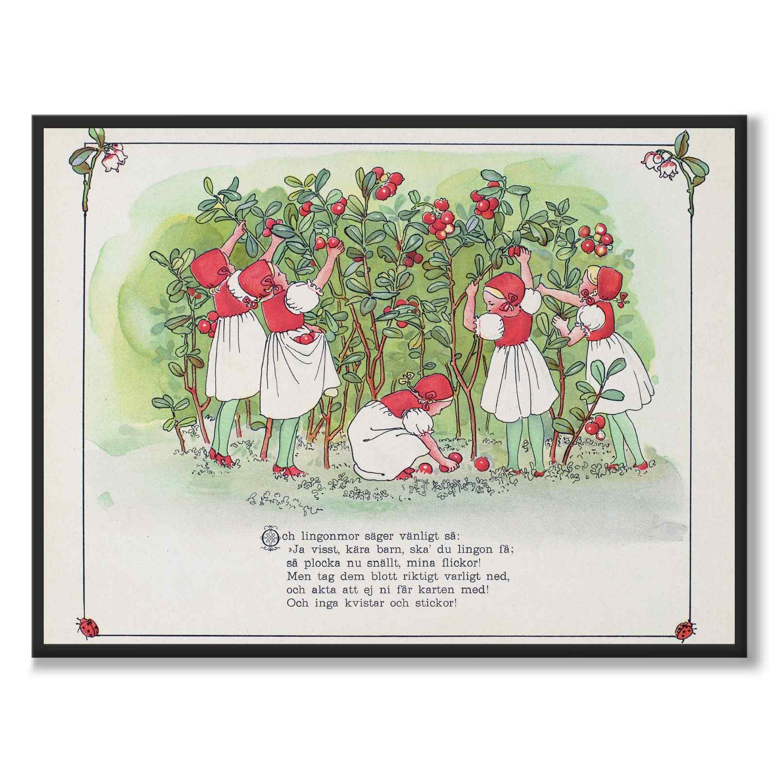 Putte's Adventure in the Blueberry Forest