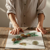 Linus Larix