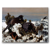 Capercaillies in a Winter Landscape - Canvas