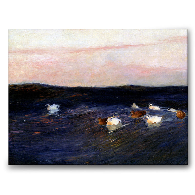 Eider Ducks - Canvas