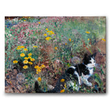 Cat on a Flowery Meadow - Canvas