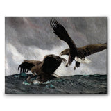 Sea Eagles - Canvas