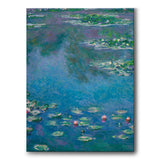 Water Lilies - Canvas