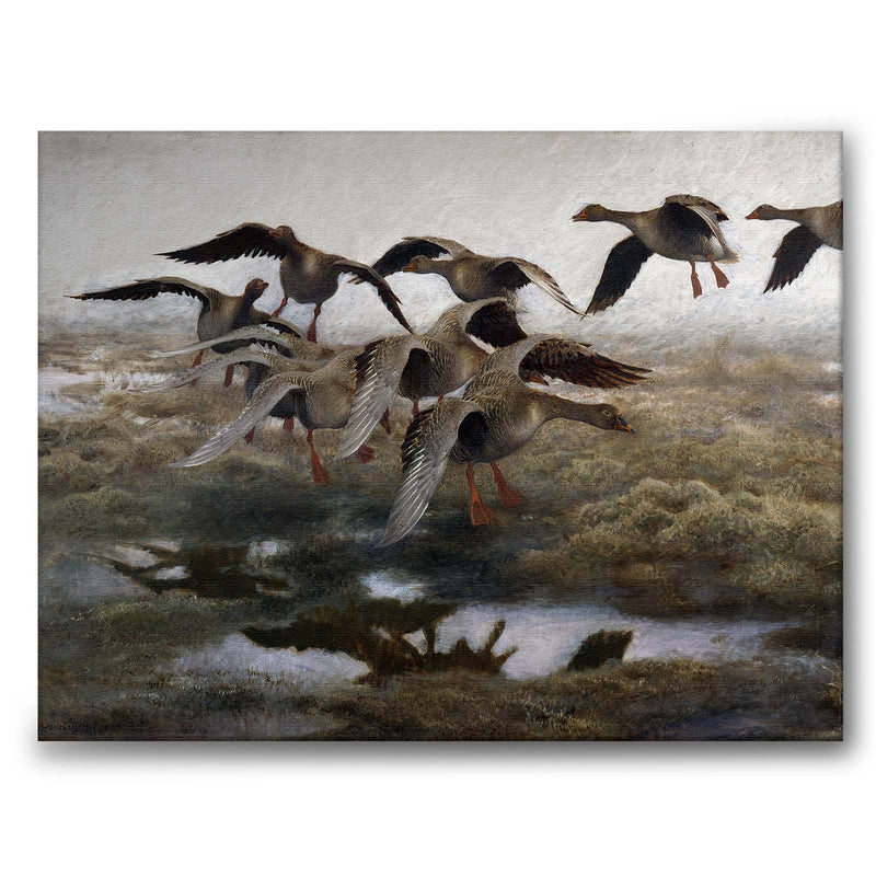 Wildgeese Settling - Canvas