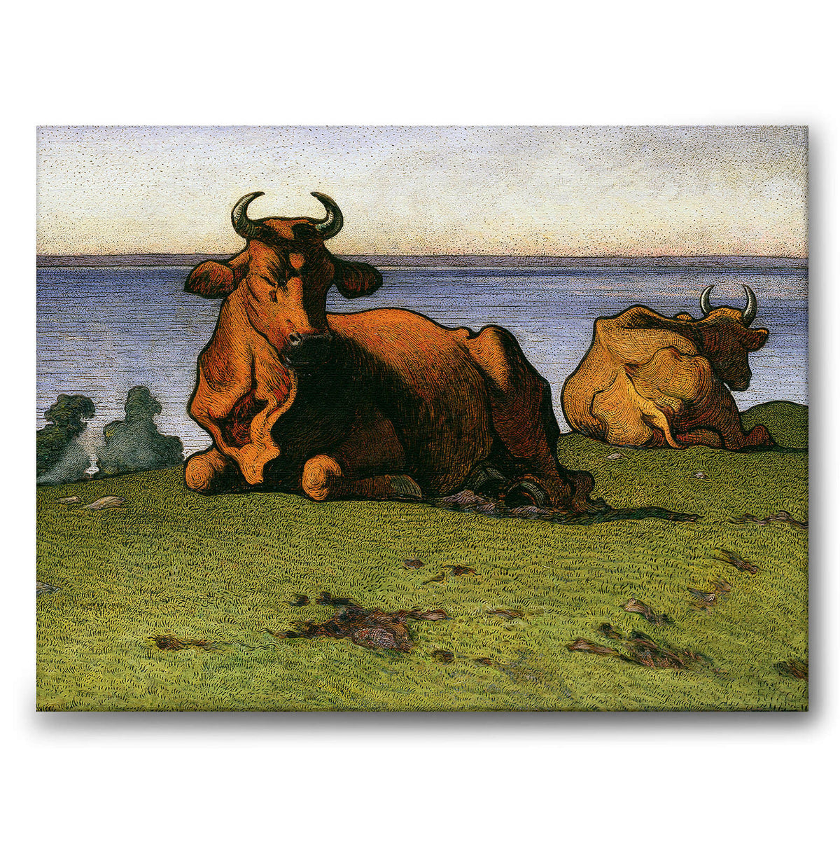 Cows - Canvas