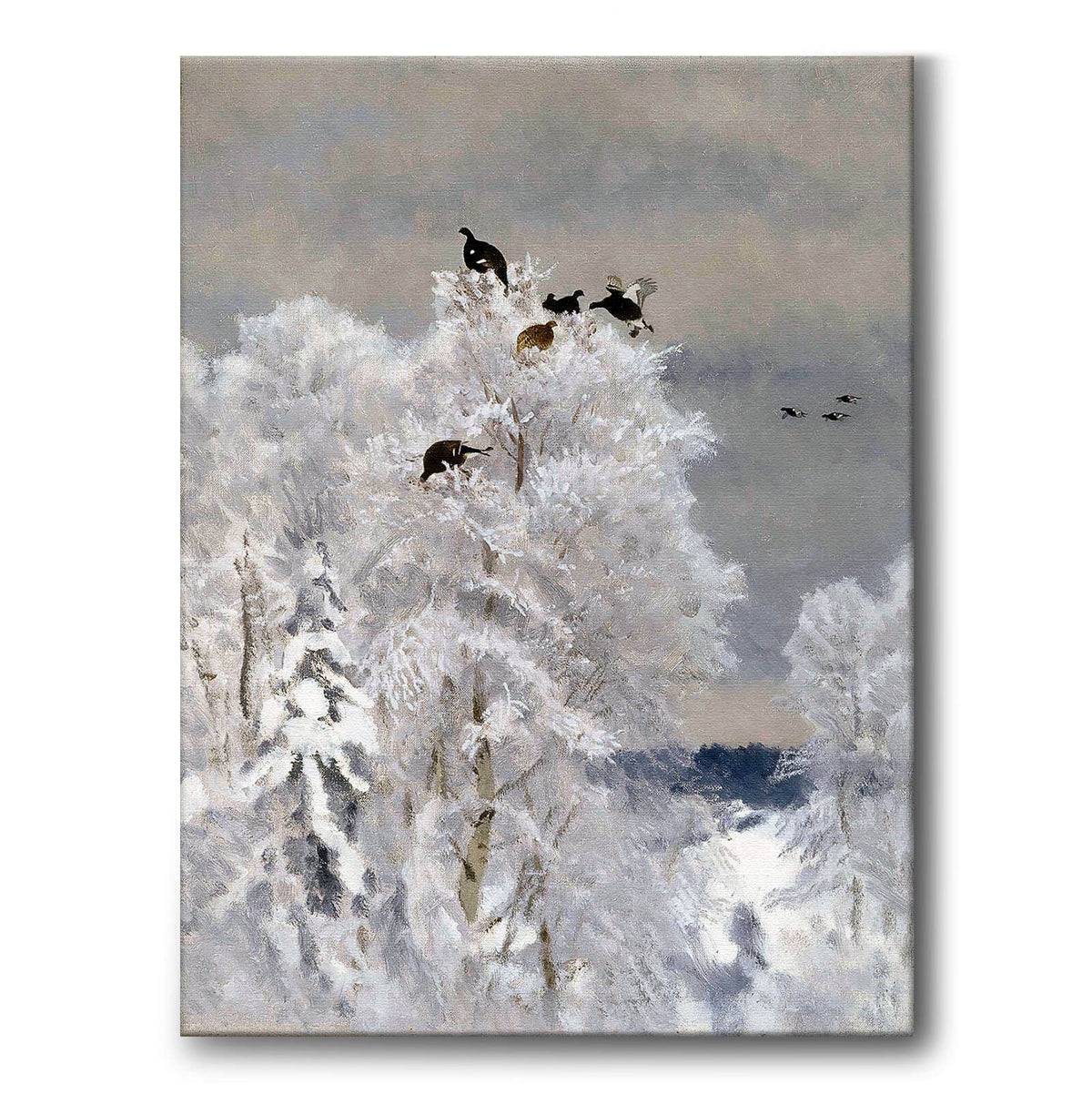 Black Grouse in a Treetop - Canvas