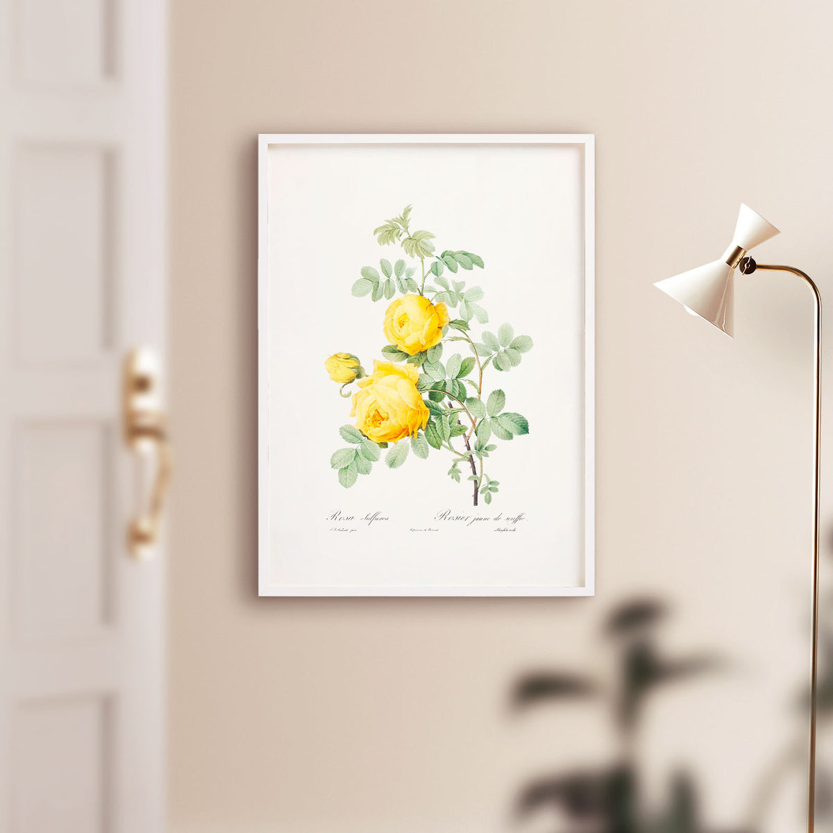 Yellow Roses