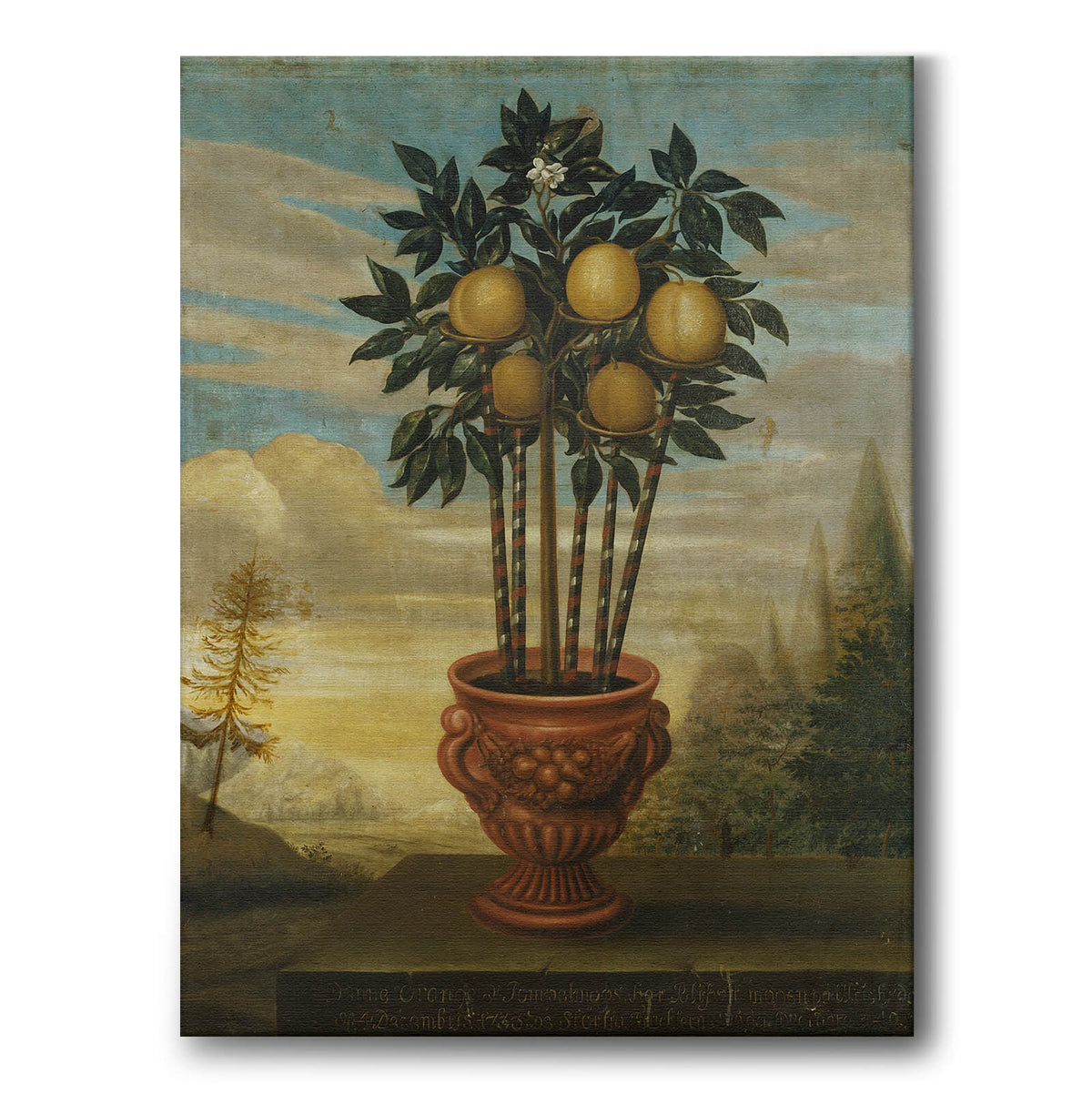 Orange tree in an urn - Canvas