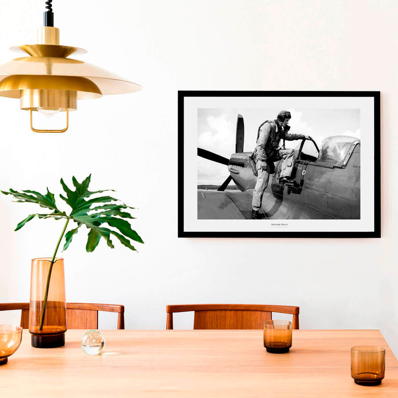 Spitfire Pilot