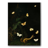 Herbs, Butterflies and a Serpent