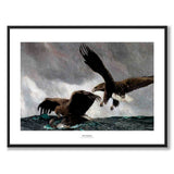 Sea Eagles - Poster