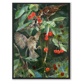 Sparrows in a Cherry Tree