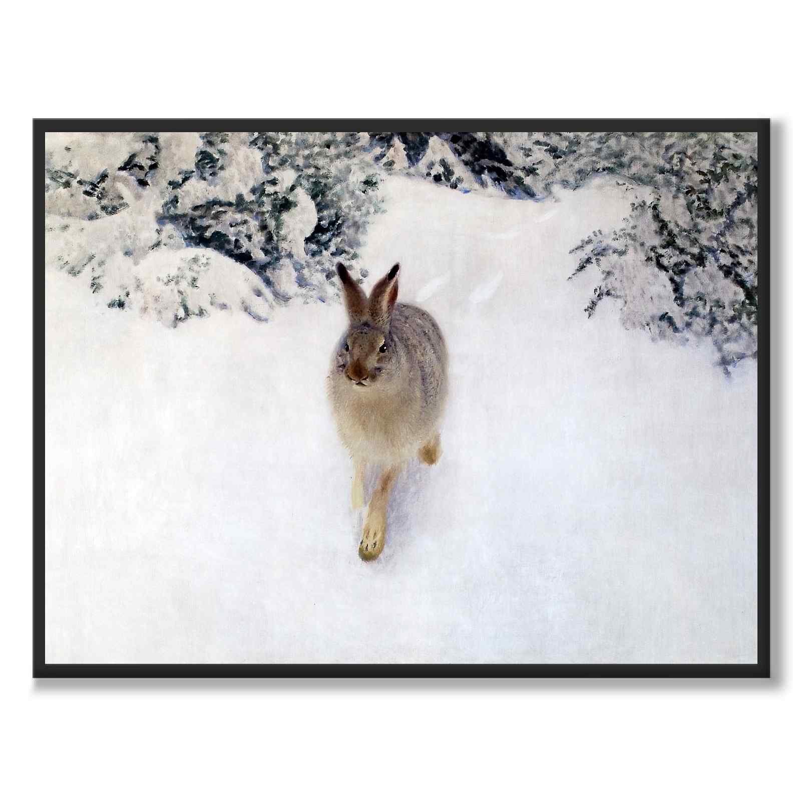 Winter Hare - Poster