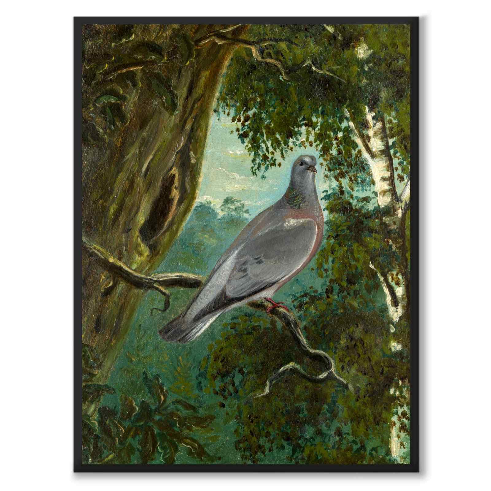 Stock Dove - Poster