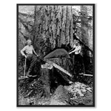 Swedish Forest Workers