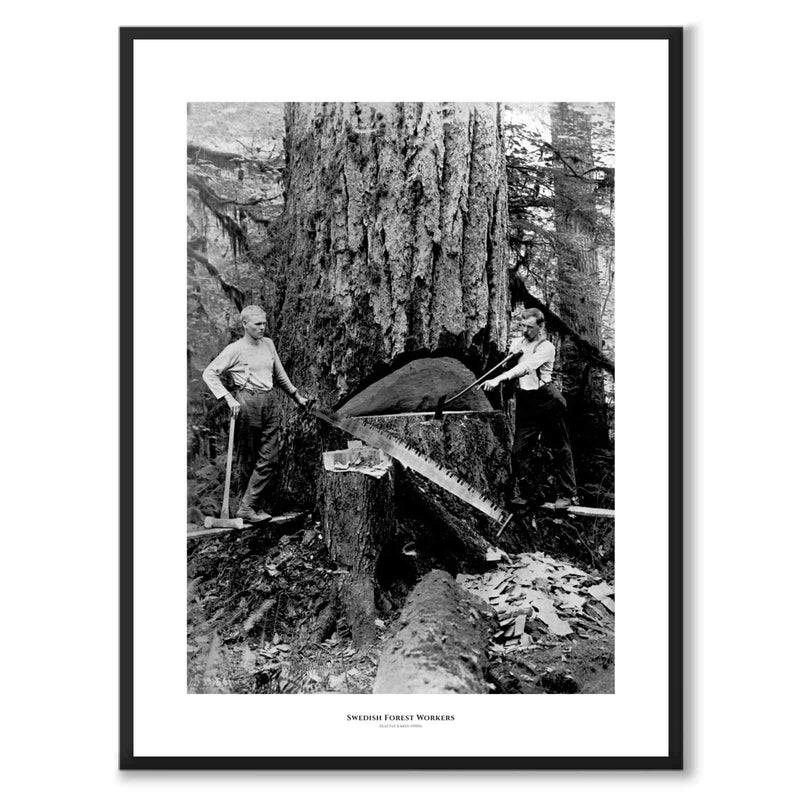 Swedish Forest Workers