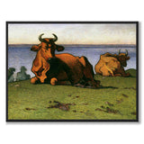 Cows