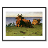 Cows