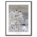 Black Grouse in a Treetop - Poster