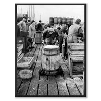 Salted Herring