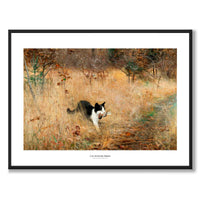 Cat hunting Birds - Poster