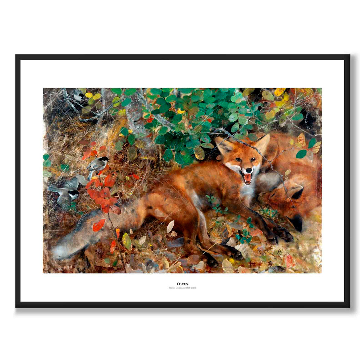 Foxes - Poster
