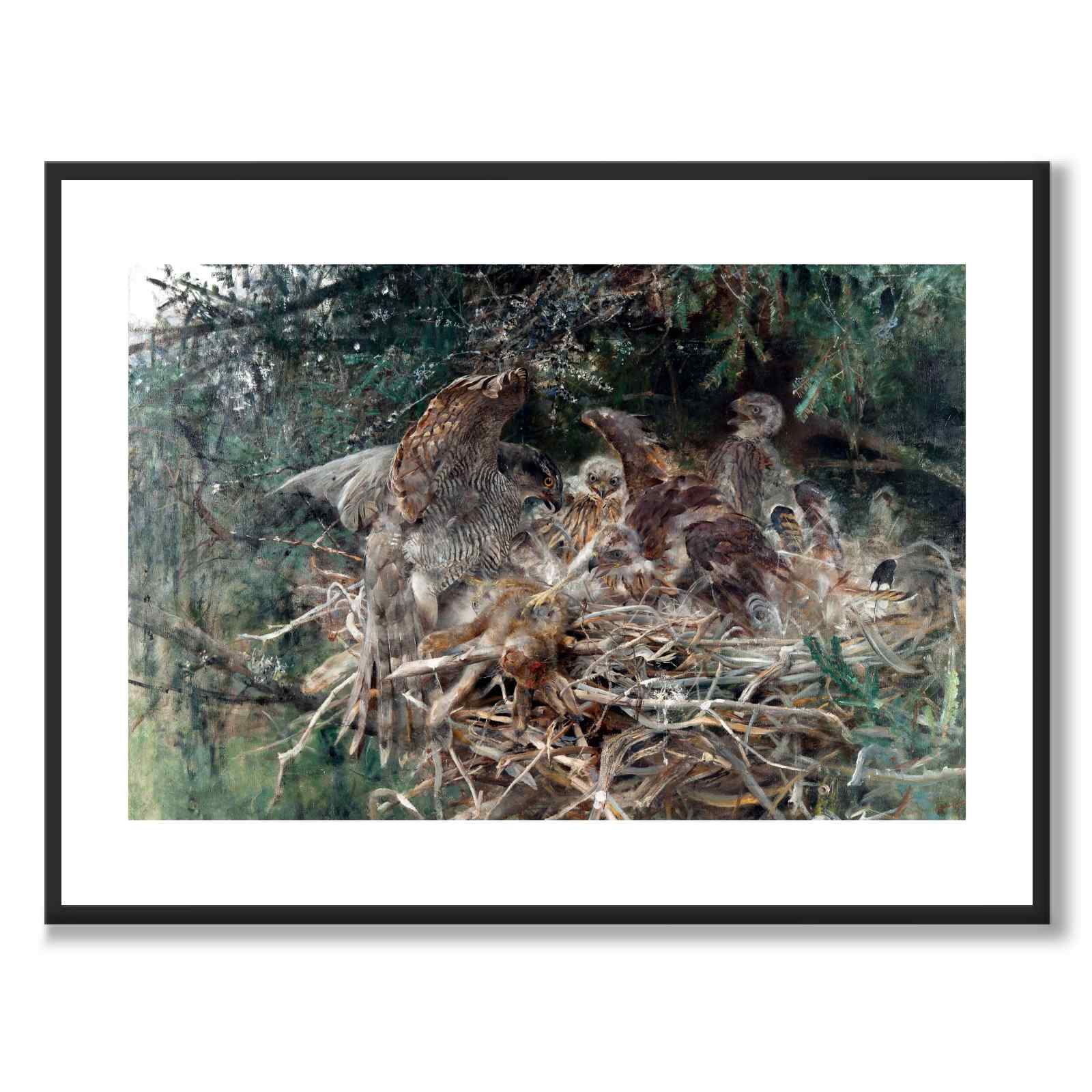 Hawk's nest - Poster