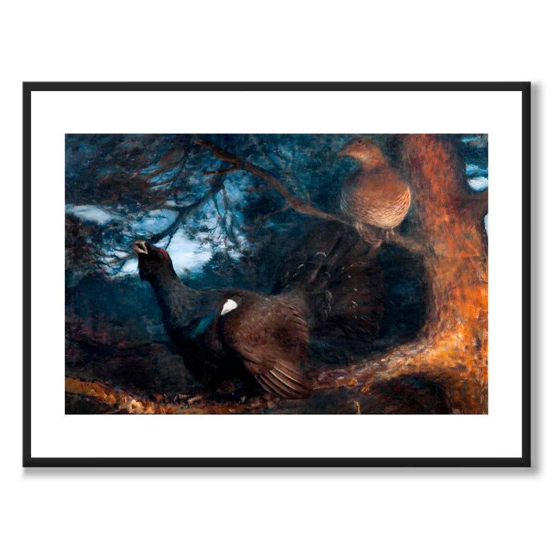 The Mating of the Capercaillies - Poster