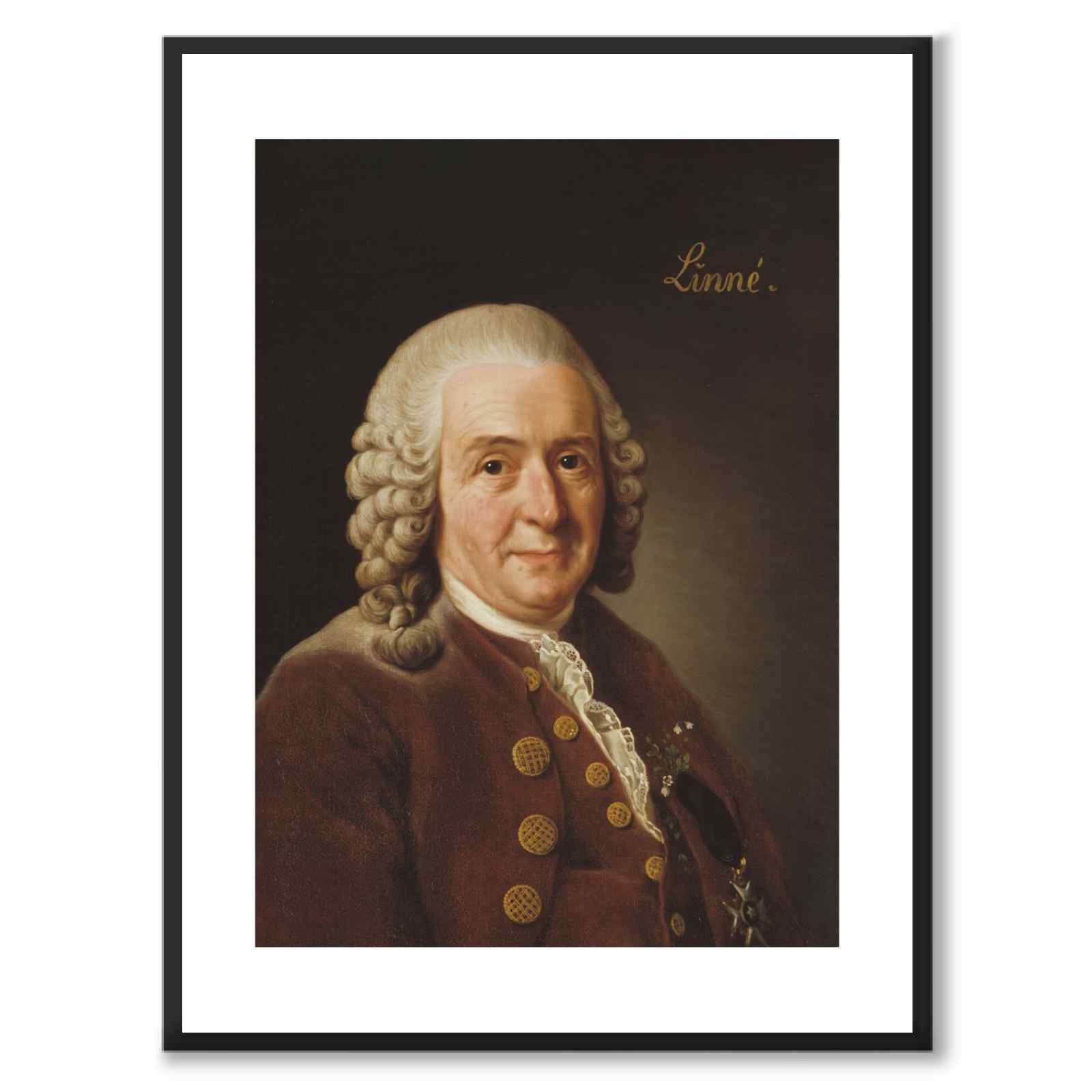 Carl von Linné - Poster